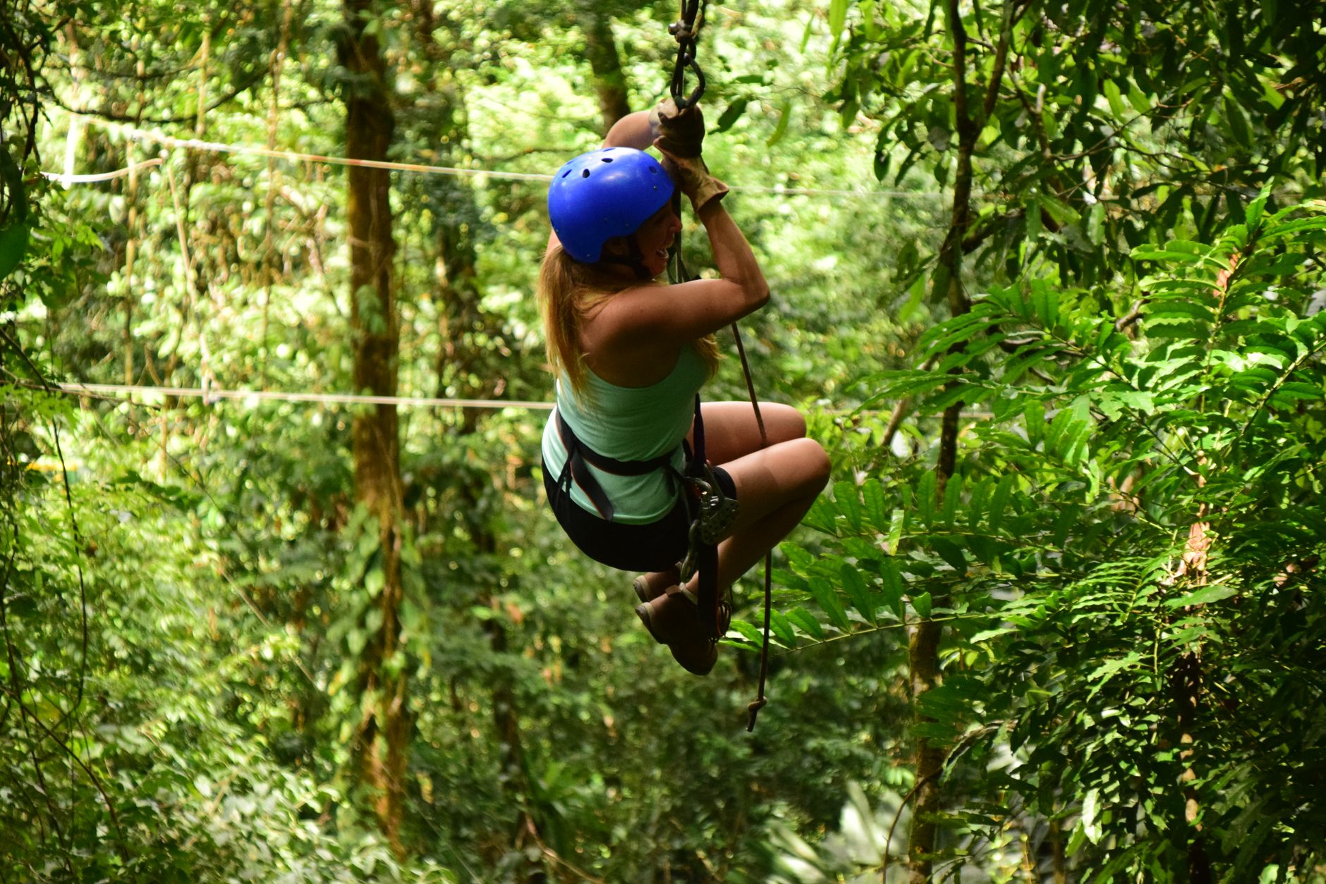 Zipline-Fahrt über das tropische Blätterdach der Welchman Hall Schlucht